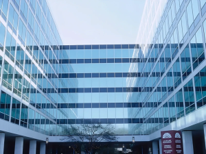 commercial window film installation